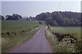 Country road near West Meon