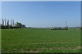 Farmland beside Chapel Lane