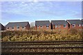 Houses by the railway