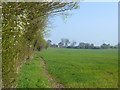 Behind the hedge, Robinhood End