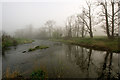 Looking down the River Taw where it is joined by the River Yeo