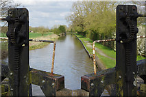 SJ6050 : Llangollen Canal, Baddiley by Stephen McKay
