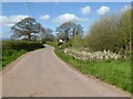 Country road near Ty-mawr