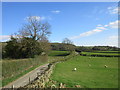 Daleside Road, Farndale East