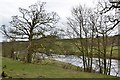 The Liddel Water near Gillside