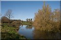 Pond near Laymore