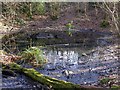 Marline Pond South north west of Queensway