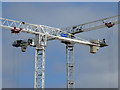 SP0686 : Tower cranes (detail) in Birmingham by Roger  D Kidd