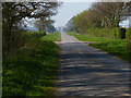 Carr Lane towards East Stockwith