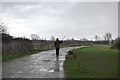 A rainy day on Walthamstow Marshes