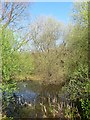 Pond, Broadmere Common