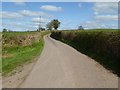 Country road to the north of Llandenny