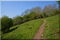 Sedgemoor : Footpath