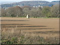 NN8519 : Newly sown field near The Balloch by M J Richardson