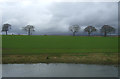 Pond and field near Easterton