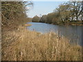 NN8618 : Looking east along Bennybeg Pond by M J Richardson