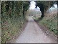 Muddyford Road heading for Barford Down