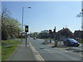 Traffic lights on Newtown Road