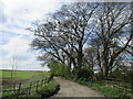 Entrance to Cliff House Farm