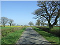 Minor road near Hill Top Farm