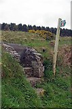 SC3275 : Stone Steps & Chibbanagh Plantation by Glyn Baker