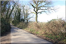 SY3295 : Harcombe Road by Nigel Mykura
