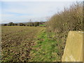 Hedgeline view from Worton Triangulation Pillar