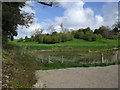 Pond beside Coppy Road, Denbigh