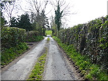 H5071 : Tormore Road, Arvalee by Kenneth  Allen