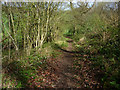 SU8012 : Path approaching edge of Inholmes Wood by Chris Gunns