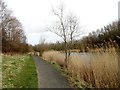 Path beside the lake