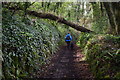 South West Coast Path approaching Penlee Cottages