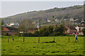 Sedgemoor : Grassy Field