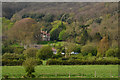 Sedgemoor : Countryside Scenery