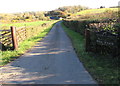 ST1572 : Mill Farm access road, Dinas Powys by Jaggery