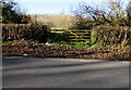 Wooden gate at the edge of woodland north of Dinas Powys