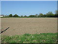 Field, Inkberrow