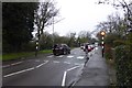 Zebra Crossing on Hollin Lane