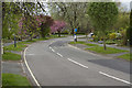 The leafy suburb of Allestree