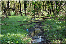 SU6265 : Woodland Stream by Silver Lane by Des Blenkinsopp