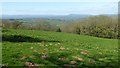 View to the Black Mountains