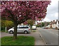 Braunstone Lane in Braunstone Town