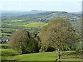 View over Mitcheltroy Common