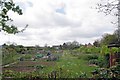 Allotments Near Coronation Park