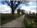 Track to Westhouse Farm