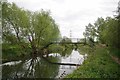 Footbridge Over The Chelmer