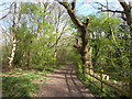 Path on Laindon Common