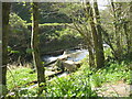 A weir on a tributary of the River Dart