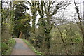 Path in the Lost Valley, Heligan Estate