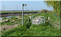 Path along the River Trent in Walkerith